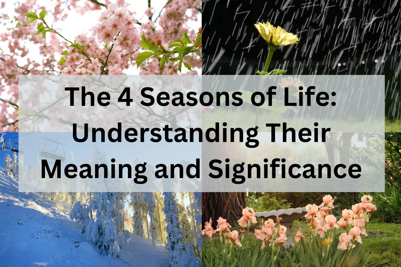 4 Seasons of Life