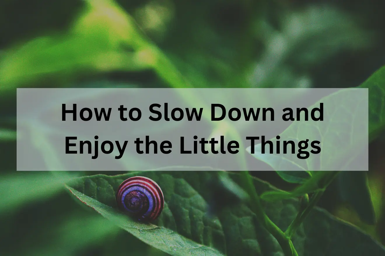 Slow Down and Enjoy