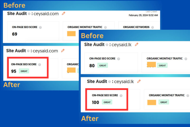 provide-on-page-seo-for-wordpress-websites