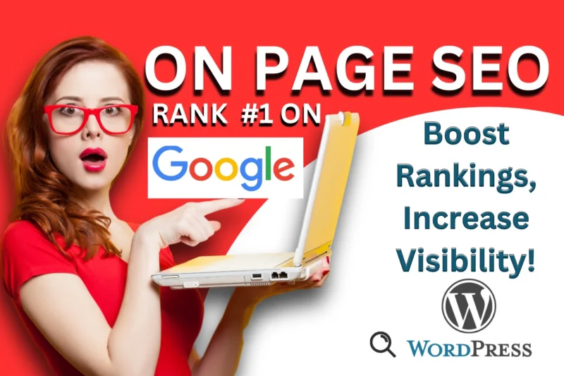 provide-on-page-seo-for-wordpress-websites